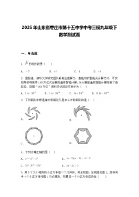 2025年山东省枣庄市第十五中学中考三模九年级下数学测试题（含答案解析）