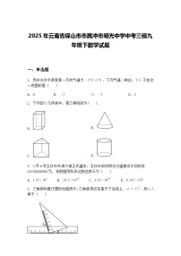 2025年云南省保山市市腾冲市明光中学中考三模九年级下数学试题（含答案解析）