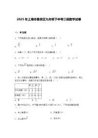 2025年上海市奉贤区九年级下中考三模数学试卷（含答案解析）