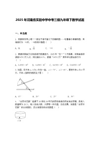 2025年河南省实验中学中考三模九年级下数学试题（含答案解析）