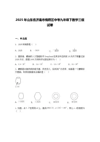 2025年山东省济南市槐荫区中考九年级下数学三模试卷（含答案解析）