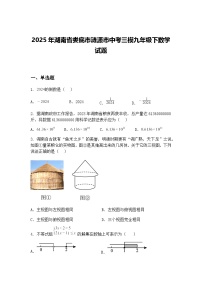 2025年湖南省娄底市涟源市中考三模九年级下数学试题（含答案解析）