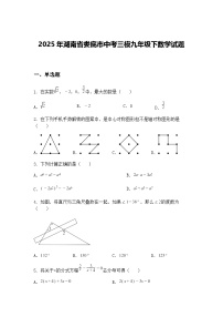 2025年湖南省娄底市中考三模九年级下数学试题（含答案解析）