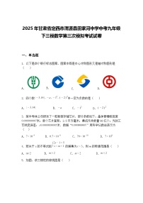 2025年甘肃省定西市渭源县田家河中学中考九年级下三模数学第三次模拟考试试卷（含答案解析）
