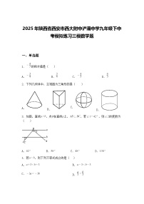 2025年陕西省西安市西大附中浐灞中学九年级下中考模拟练习三模数学题（含答案解析）
