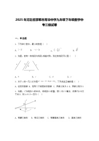2025年河北省邯郸市育华中学九年级下年级数学中考三模试卷（含答案解析）