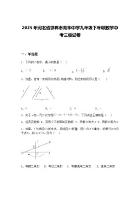 2025年河北省邯郸市育华中学九年级下年级数学中考三模试卷（含答案解析）