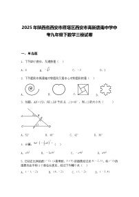 2025年陕西省西安市雁塔区西安市高新唐南中学中考九年级下数学三模试卷（含答案解析）