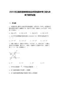 2025年云南省楚雄彝族自治州双柏县中考三模九年级下数学试题（含答案解析）