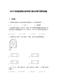 2025年安徽省黄山市中考三模九年级下数学试题（含答案解析）