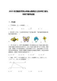2025年河南省平顶山市鲁山县西北七校中考三模九年级下数学试题（含答案解析）