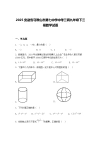 2025安徽省马鞍山市第七中学中考三调九年级下三模数学试题（含答案解析）