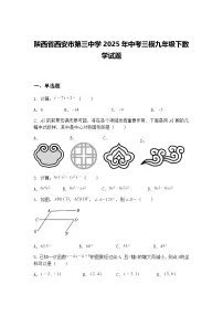 陕西省西安市第三中学2025年中考三模九年级下数学试题（含答案解析）