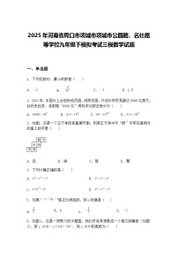 2025年河南省周口市项城市项城市公园路、名仕路等学校九年级下模拟考试三模数学试题（含答案解析）