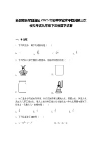 新疆维吾尔自治区2025年初中学业水平检测第三次模拟考试九年级下三模数学试卷（含答案解析）