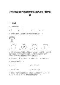 2025年四川省泸州高级中学校三模九年级下数学试题（含答案解析）