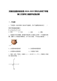 河南省洛阳市新安县2024-2025学年九年级下学期第三次联考三模数学试题试卷（含答案解析）