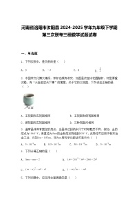 河南省洛阳市汝阳县2024-2025学年九年级下学期第三次联考三模数学试题试卷（含答案解析）