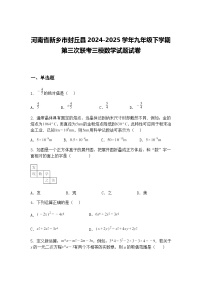 河南省新乡市封丘县2024-2025学年九年级下学期第三次联考三模数学试题试卷（含答案解析）