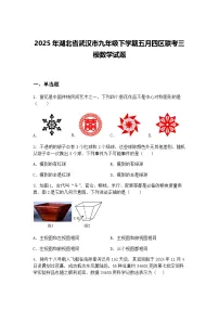 2025年湖北省武汉市九年级下学期五月四区联考三模数学试题（含答案解析）
