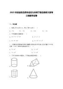 2025年安徽省合肥市名校九年级下联合教研大联考三模数学试卷（含答案解析）