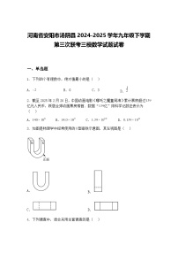 河南省安阳市汤阴县2024-2025学年九年级下学期第三次联考三模数学试题试卷（含答案解析）