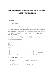 河南省安阳林州市2024-2025学年九年级下学期第三次联考三模数学试题试卷（含答案解析）
