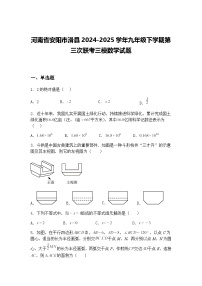 河南省安阳市滑县2024-2025学年九年级下学期第三次联考三模数学试题（含答案解析）