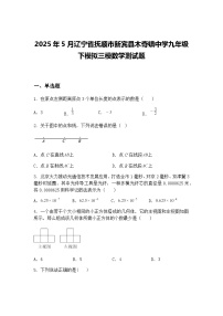 2025年5月辽宁省抚顺市新宾县木奇镇中学九年级下模拟三模数学测试题（含答案解析）
