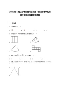 2025年5月辽宁省抚顺市新宾县下夹河乡中学九年级下模拟三模数学测试题（含答案解析）