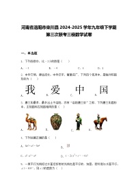 河南省洛阳市栾川县2024-2025学年九年级下学期第三次联考三模数学试卷（含答案解析）