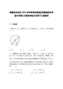 湖南省永州市2025年中考考仿真模拟演练暨初中学业水平第三次模拟考试九年级下三模数学（含答案解析）