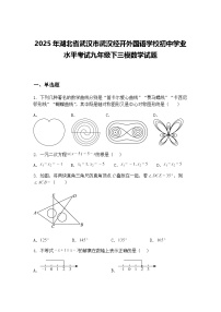 2025年湖北省武汉市武汉经开外国语学校初中学业水平考试九年级下三模数学试题（含答案解析）