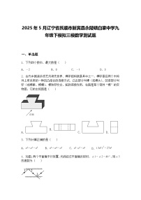 2025年5月辽宁省抚顺市新宾县永陵镇白家中学九年级下模拟三模数学测试题（含答案解析）