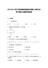 2025年5月辽宁省抚顺市新宾县木奇镇二中学九年级下模拟三模数学测试题（含答案解析）