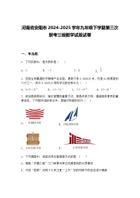 河南省安阳市2024-2025学年九年级下学期第三次联考三模数学试题试卷（含答案解析）