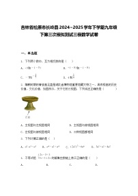 吉林省松原市长岭县2024~2025学年下学期九年级下第三次模拟测试三模数学试卷（含答案解析）