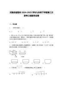 河南省信阳市2024-2025学年九年级下学期第三次联考三模数学试卷（含答案解析）
