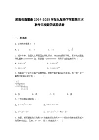 河南省南阳市2024-2025学年九年级下学期第三次联考三模数学试题试卷（含答案解析）