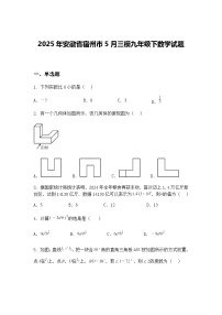 2025年安徽省宿州市5月三模九年级下数学试题（含答案解析）