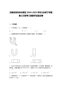 河南省郑州市中原区2024-2025学年九年级下学期第三次联考三模数学试题试卷（含答案解析）