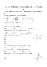 2025-2026学年四川省巴中市南江实验中学九年级（上）入学数学试卷-自定义类型