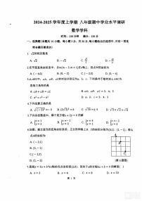 2024-2025沈阳虹桥中学八上数学期中卷纸含答案