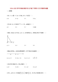 2024^2025学年河南省焦作市七年级下册5月月考数学试卷【附答案】