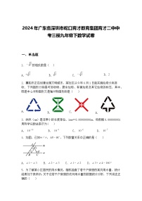 2024年广东省深圳市蛇口育才教育集团育才二中中考三模九年级下数学试卷（含答案解析）