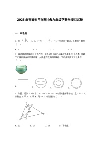 2025年青海省玉树州中考九年级下数学模拟试卷（含答案解析）