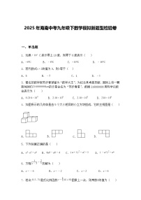 2025年海南中考九年级下数学模拟新题型检验卷（含答案解析）