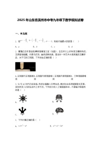 2025年山东省滨州市中考九年级下数学模拟试卷（含答案解析）