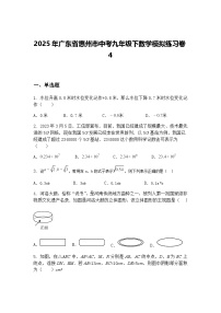 2025年广东省惠州市中考九年级下数学模拟练习卷4（含答案解析）