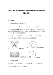 2025年广东省韶关市九年级下中考数学联合模拟练习卷（四）（含答案解析）